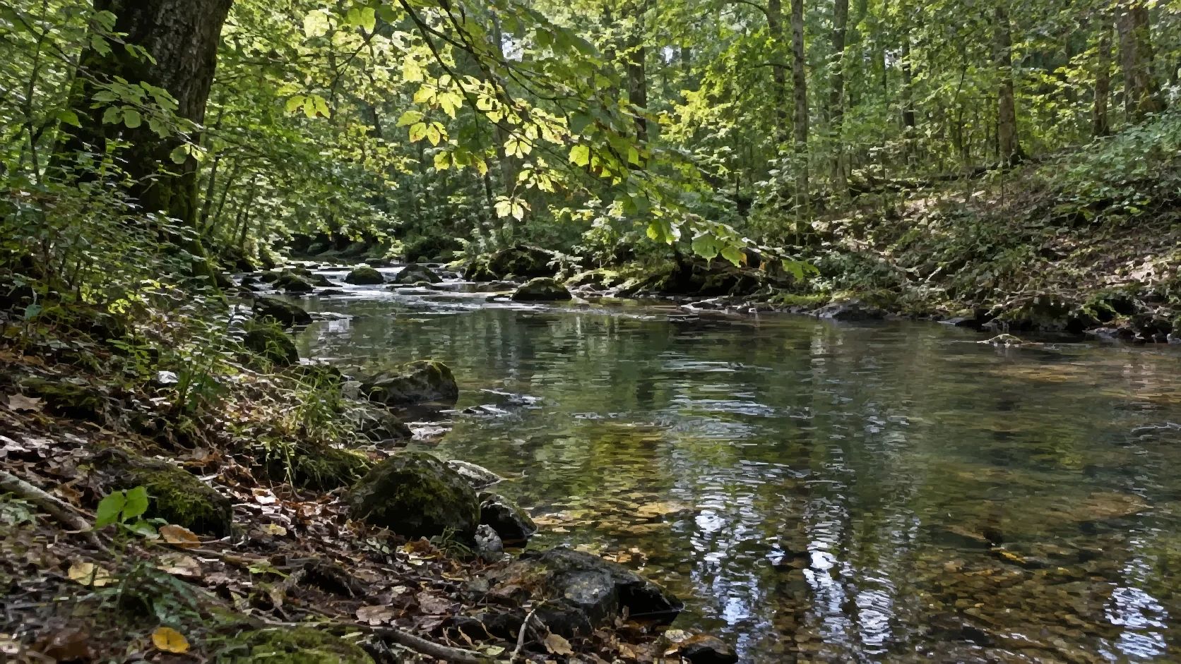 A painterly woodland creek with sunlit leaves, mossy stones, and clear water.